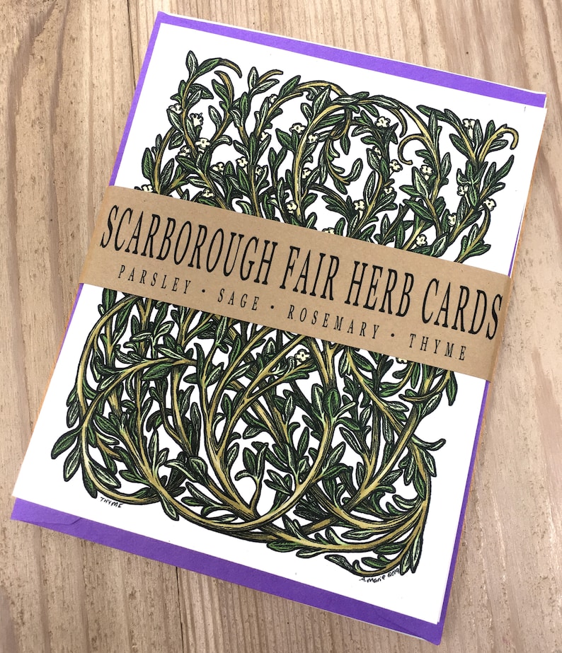 Herb Art Herb Card Set : Parsley Sage Rosemary and Thyme Herb Card Collection Set of 4 Cards and Colorful Envelopes