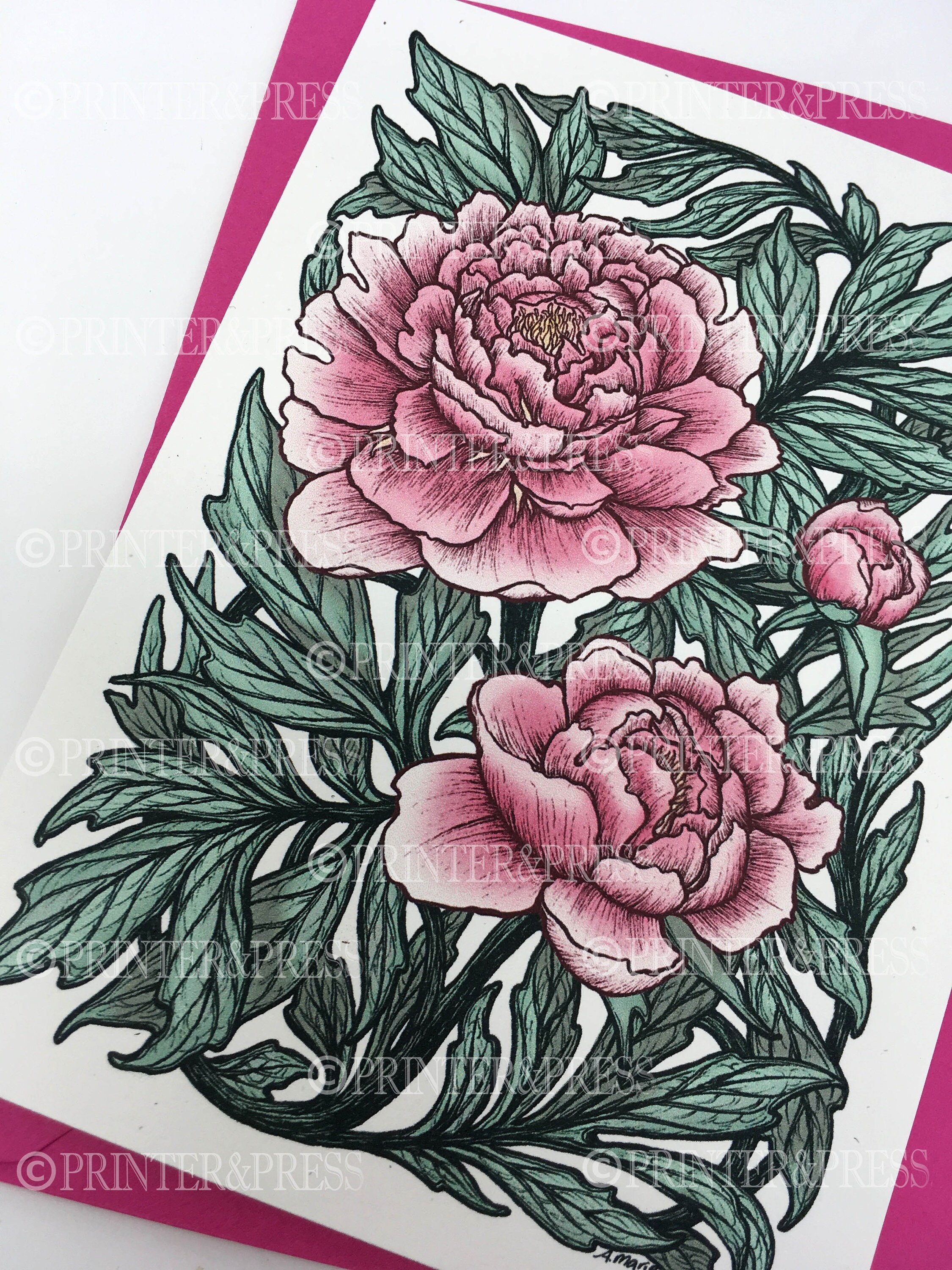 Peony Card With Pink Envelope - Digitally Colored and Printed - Spring ...