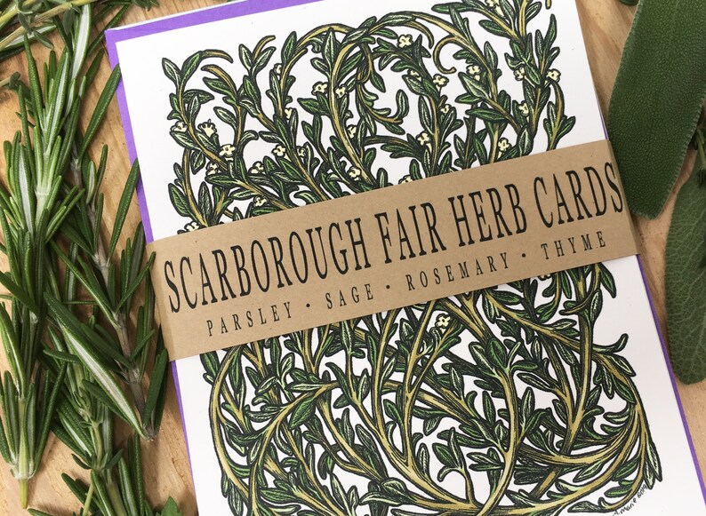 Herb Art Herb Card Set : Parsley Sage Rosemary and Thyme Herb Card Collection Set of 4 Cards and Colorful Envelopes