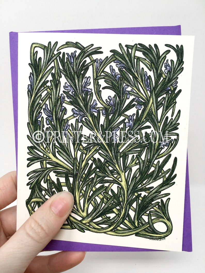 Plant Illustration Botanical Illustration Rosemary Greeting Card with Purple Envelope : Herb Card Herb Art Art Card Herb Drawing
