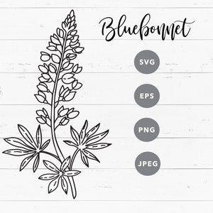 SVG Bluebonnet clipart for Cricut Lupine vector black and white illustration Eps Jpeg Png Texas symbol Wild flowers instant download