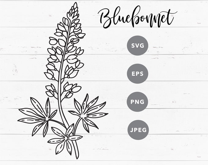 SVG Bluebonnet Clipart for Cricut Lupine Vector Black and - Etsy