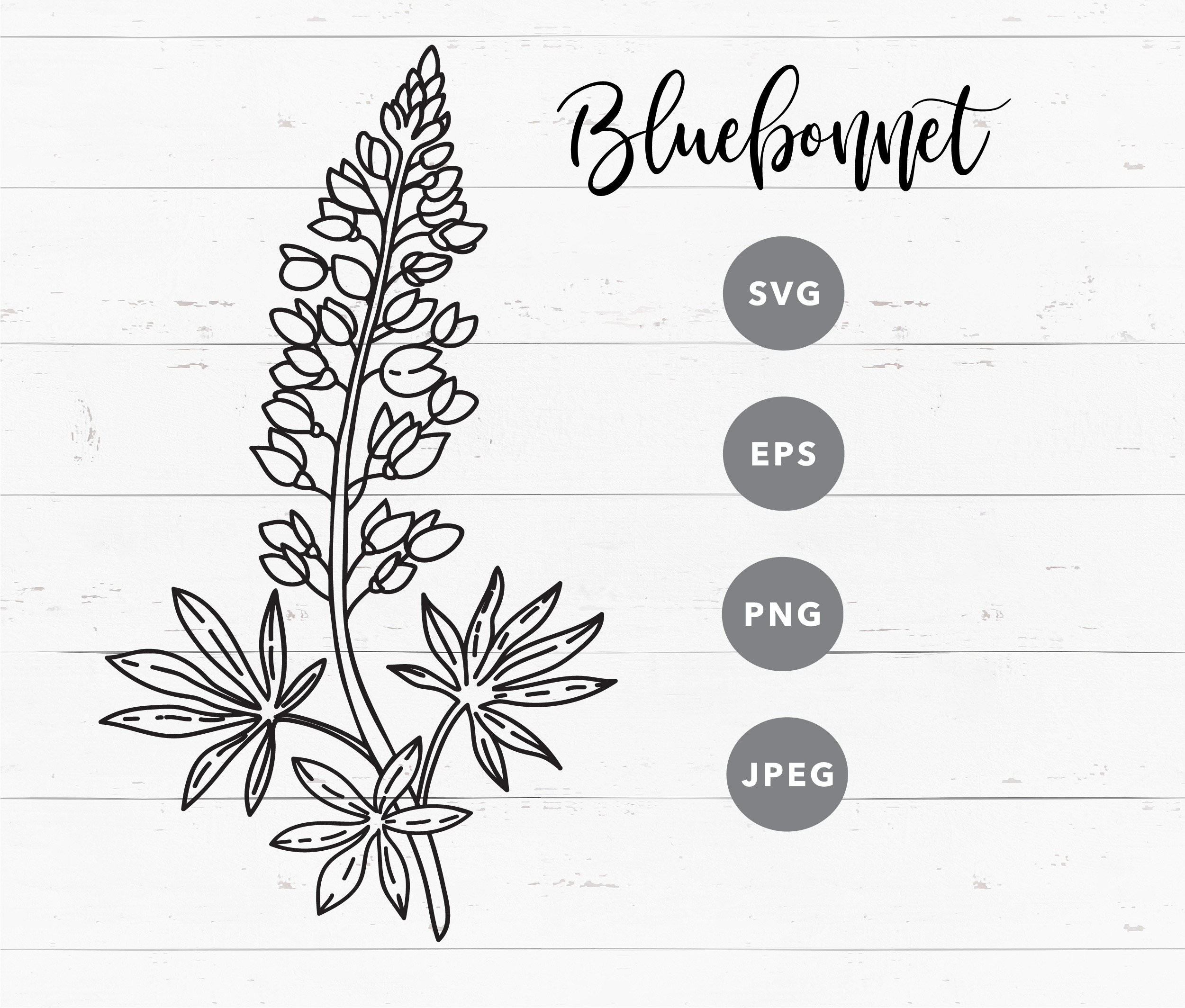 SVG Bluebonnet Clipart for Cricut Lupine Vector Black and White ...