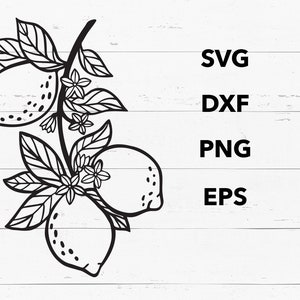 Lemon SVG illustration. Dfx, EPS, PNG Image for cricut, scrapbooking, card making. Summer fruit branch. Line art