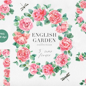 Floral frame PNG Watercolor blush pink roses and eucalyptus leaves  Clipart Wedding card template Art Aquarelle Arrangements Flowers
