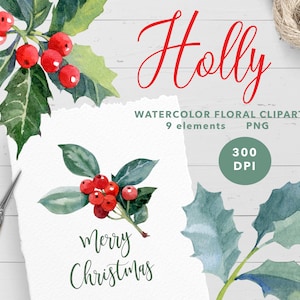 Winter Watercolor Christmas Digital Clipart Set Leaf Leaves Holiday Botanical Greenery Holly Red Berry Illustration for Gift Card