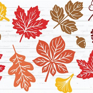 Fall Leaves Svg, Fall svg, Autumn svg bundle clipart, DXF, Png, Cut files for Cricut, Silhouette, Halloween SVG, Thanksgiving SVG