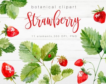 Strawberry clip art PNG Watercolor red berries clipart illustration 300 dpi Printable Instant download