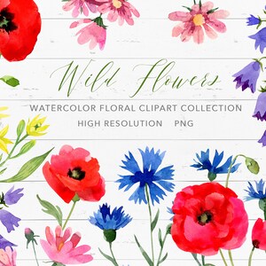 Wilde bloemen clipart collectie PNG Aquarel bloemen illustratie Digitale stickers Zomer weide