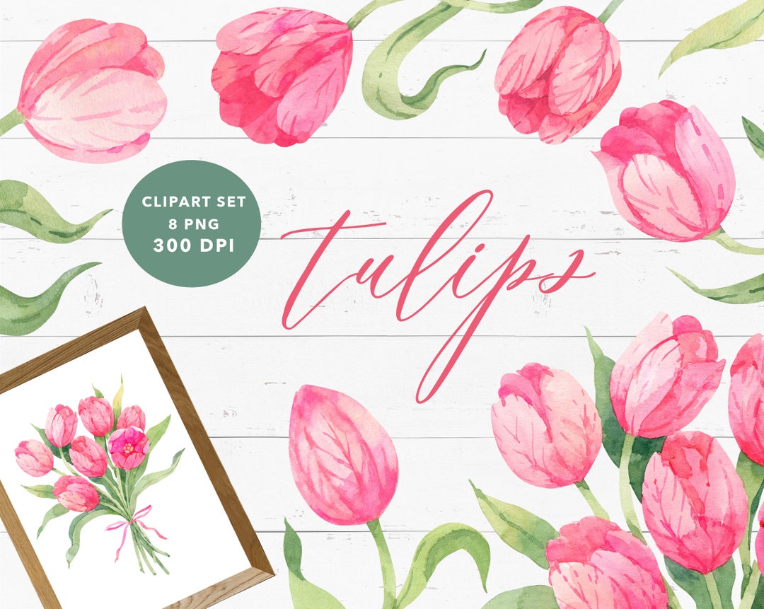 Watercolor Clipart Blush Pink TULIPS. Spring Flowers Set for Instant ...