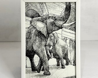 Framed Original Pen & Ink Drawing of Elephants
