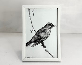 Framed Original Pen & Ink Drawing of Bird