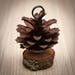 10 pcs Pine Cone Place Card Holders Rustic Woodland Wedding Escort Card Holders 