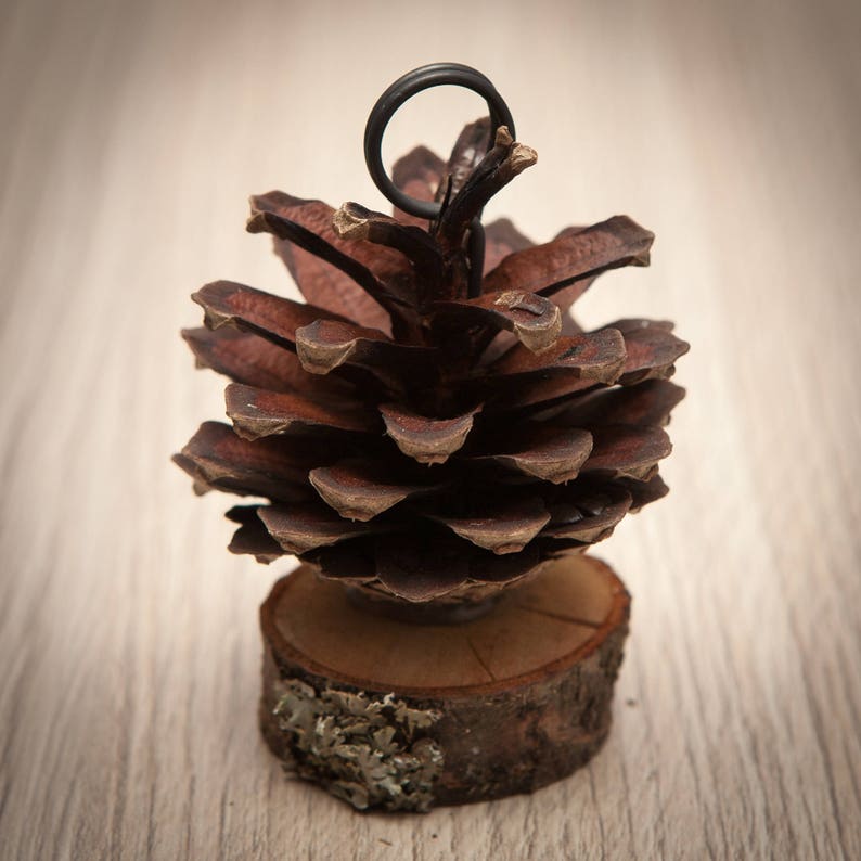 10 Pcs Pine Cone Place Card Holders Rustic Woodland Wedding Escort Card