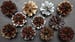 10 pcs Pine Cone Place Card Holders Rustic Woodland Wedding Escort Card Holders 