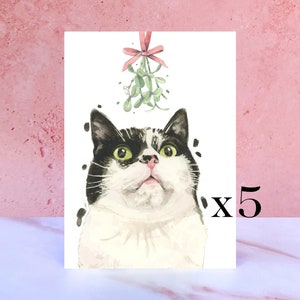 Lot de 5 cartes de vœux chat noir et blanc