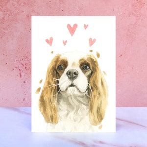 Tarjeta Cavalier King Charles Spaniel Licks & Kisses para San Valentín, aniversarios y del perro
