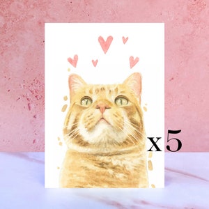 Paquete de 5 tarjetas para lamer y besos de gato atigrado blanco y jengibre para San Valentín, aniversarios y del gato