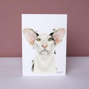 Oriental Shorthair Cat All Occasion Card, Funny Kitty Cartes de vœux d’anniversaire