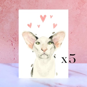 Pack de 5 Oriental Shorthair Licks & Kisses Card para San Valentín, Aniversarios y del Gato