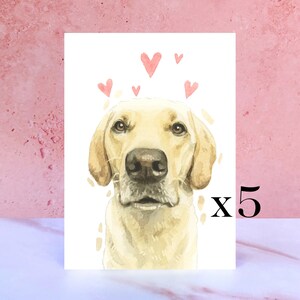 Paquete de 5 tarjetas de lamer y besos de labrador amarillo para San Valentín, aniversarios y del perro