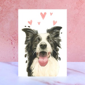 Tarjeta Border Collie Licks & Kisses para San Valentín, aniversarios y del perro