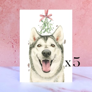 Lot de 5 cartes de Noël Husky sibérien