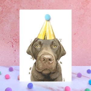 Cartão De Aniversário Chocolate Labrador Pompom