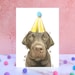 see more listings in the Anniversaire et célébration section