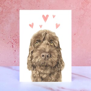 Tarjeta de chocolate Cockapoo Licks & Kisses para San Valentín, aniversarios y del perro
