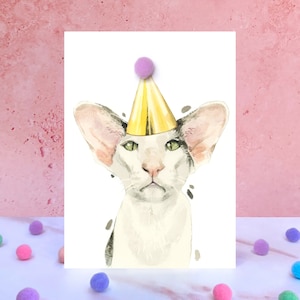 Carte d'anniversaire orientale avec pompon chat à poil court