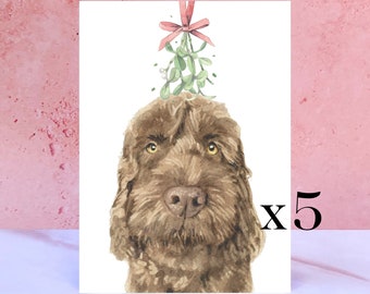 Packung mit 5 Schokolade Cockapoo Weihnachtskarte