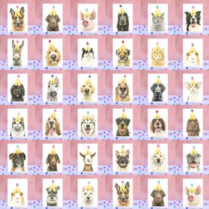 May include: A grid of thirty-six individual greeting cards, each featuring a watercolor illustration of a different animal wearing a gold party hat with a colorful pom-pom. The animals include various dog breeds, cats, pigs, and a goat.