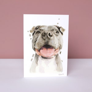 Staffordshire Bull Terrier All Occasion Karte, Lustige Staffy Staffie Geburtstag Grußkarte