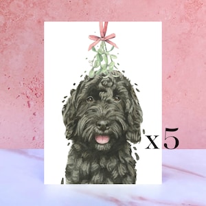 Lot de 5 cartes de Noël Cockapoo
