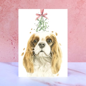 Cartão de Natal Cavalier King Charles Spaniel