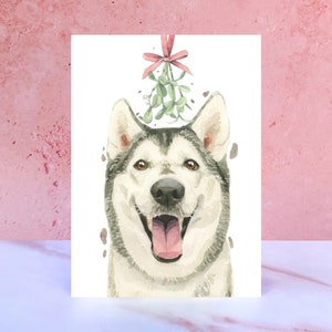 Siberian Husky Weihnachtskarte