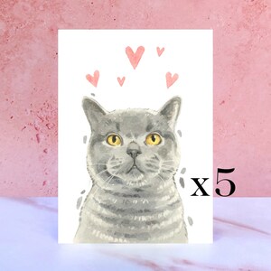 Pack de 5 British Shorthair Cat Licks & Kisses Card para San Valentín, Aniversarios y del Gato