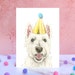 see more listings in the Anniversaire et célébration section