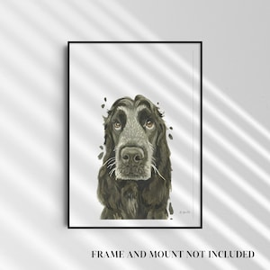 Puede incluir: Pintura acuarela de un perro Cocker Spaniel negro y blanco sobre un fondo blanco.