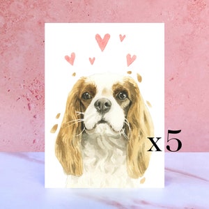 Paquete de 5 tarjetas Cavalier King Charles Spaniel Licks & Kisses para San Valentín, aniversarios y del perro