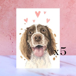 Paquete de 5 tarjetas Springer Spaniel Licks & Kisses para San Valentín, aniversarios y del perro