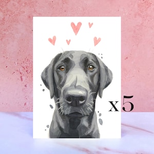 Paquete de 5 tarjetas Black Labrador Licks & Kisses para San Valentín, aniversarios y del perro