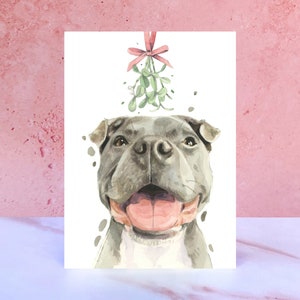 Biglietto di Natale Staffordshire Bull Terrier, biglietti d'auguri natalizi per Staffie Staffy