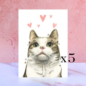 Paquete de 5 tarjetas para lamer y besar atigrados y gatos blancos para San Valentín, aniversarios y del gato