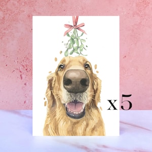 Confezione da 5 cartoline natalizie Golden Retriever