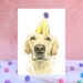 see more listings in the Anniversaire et célébration section