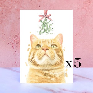 Lot de 5 cartes de Noël chat tigré roux