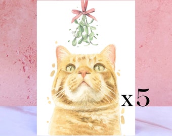 Pack of 5 Ginger Tabby Cat Christmas Cards