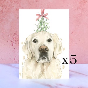 Confezione da 5 cartoline natalizie Golden Retriever color crema inglese